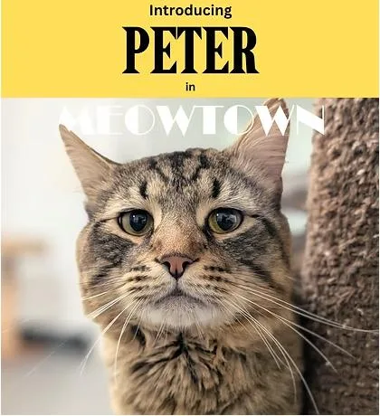 Peter thumbnail 3