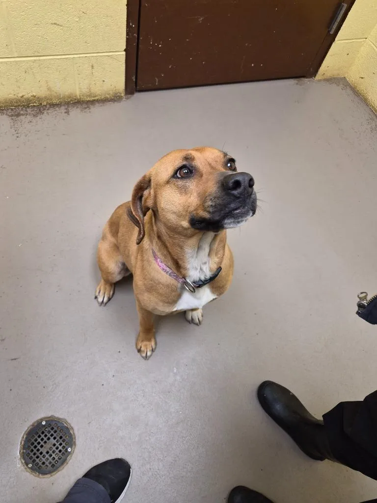 Princess thumbnail 2