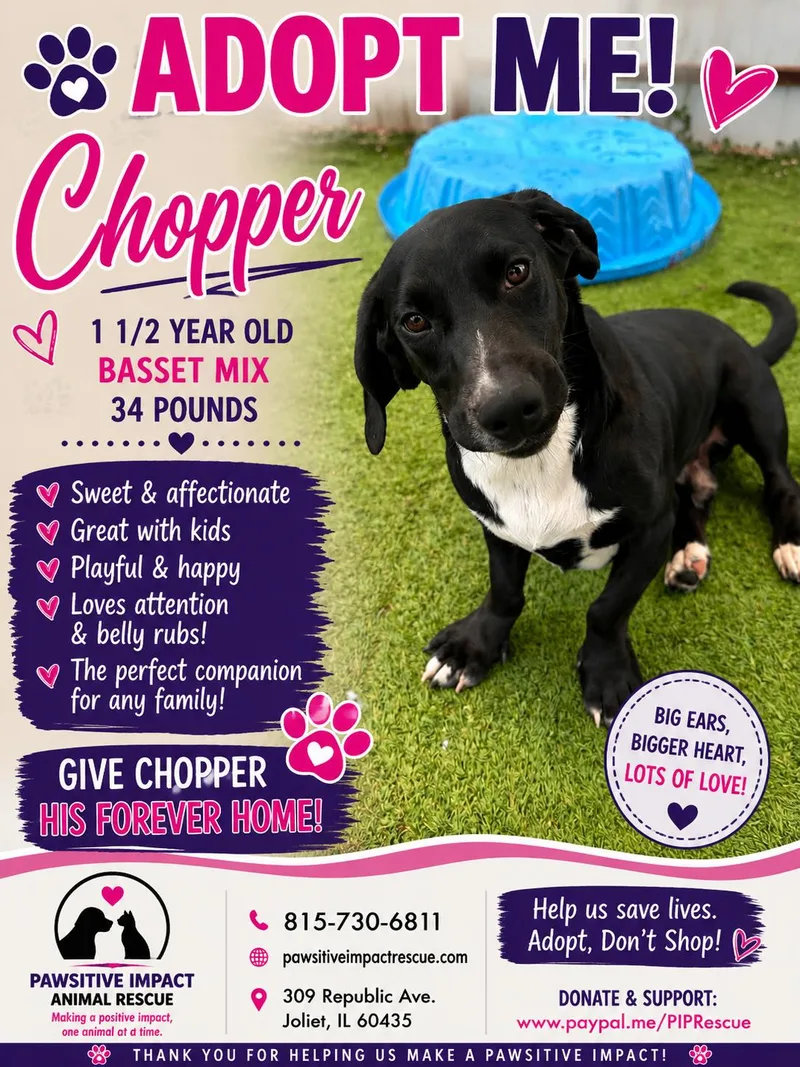 Chopper thumbnail 2