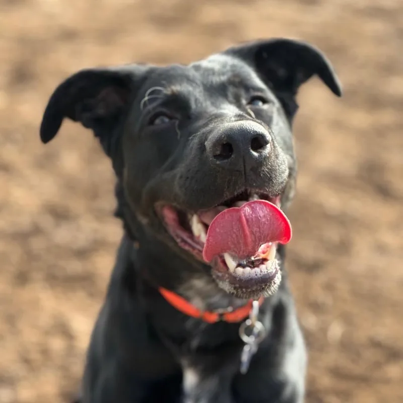 Missy Elliot thumbnail 2