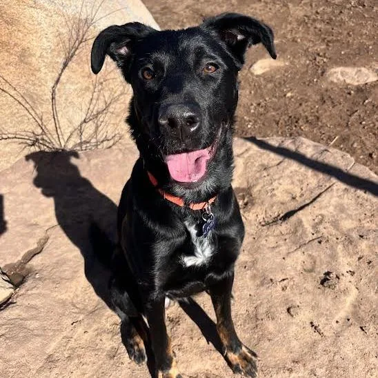 Missy Elliot thumbnail 3