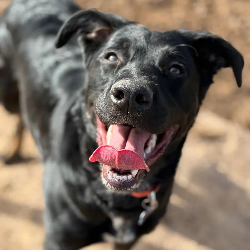 Missy Elliot thumbnail 4