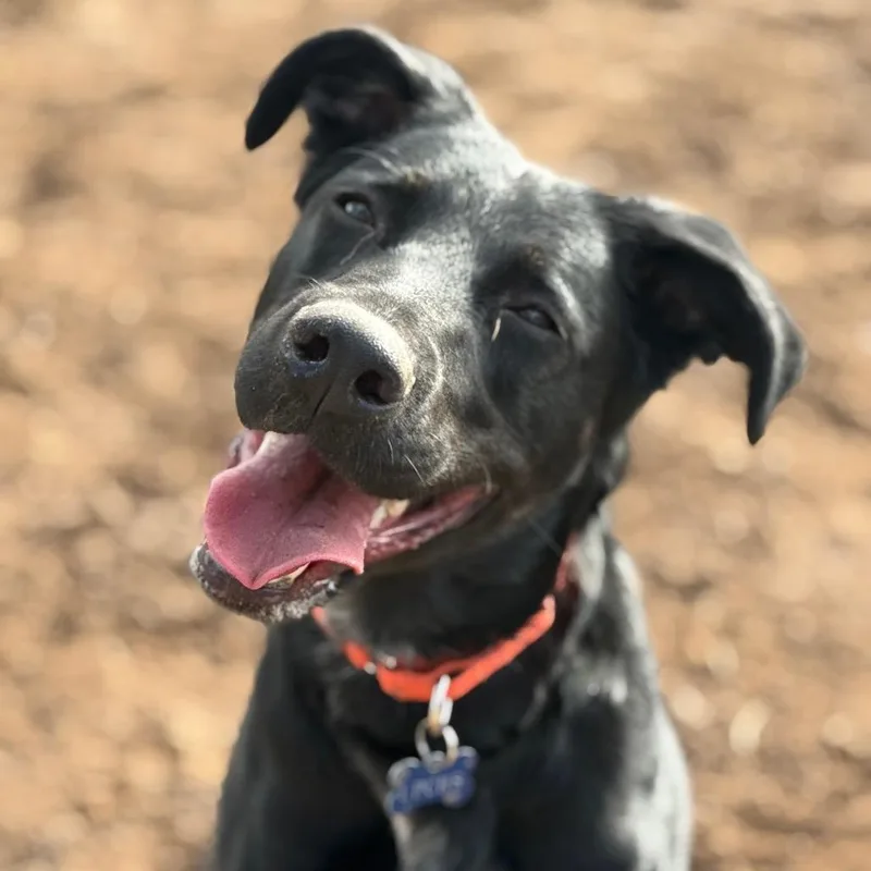 Missy Elliot thumbnail 5