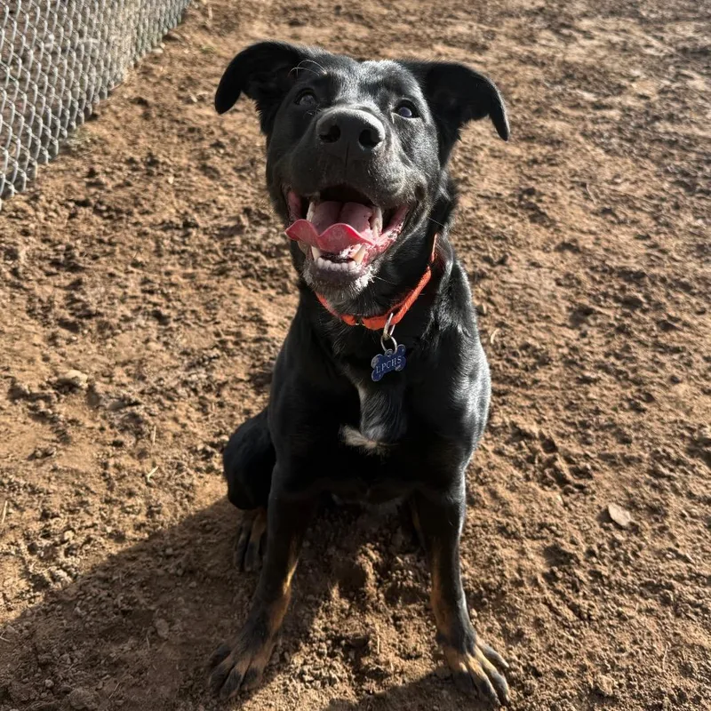 Missy Elliot thumbnail 6