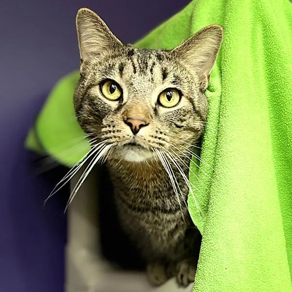 Little Ricky thumbnail 3