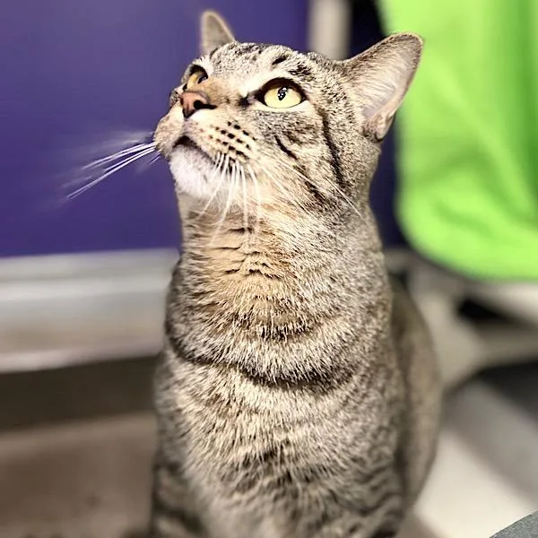 Little Ricky thumbnail 5