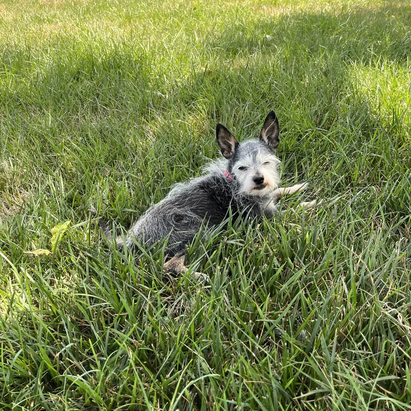 Bitty