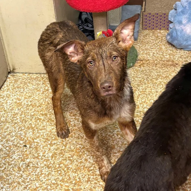 Jenna Finch thumbnail 2