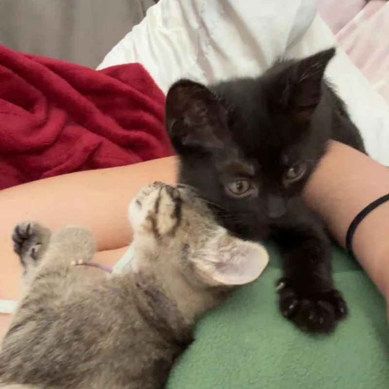 MeOhMy thumbnail 2