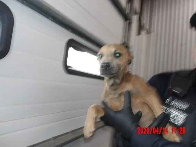Sam thumbnail 2