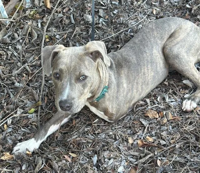 Happy Girl thumbnail 2