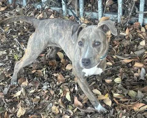 Happy Girl thumbnail 3