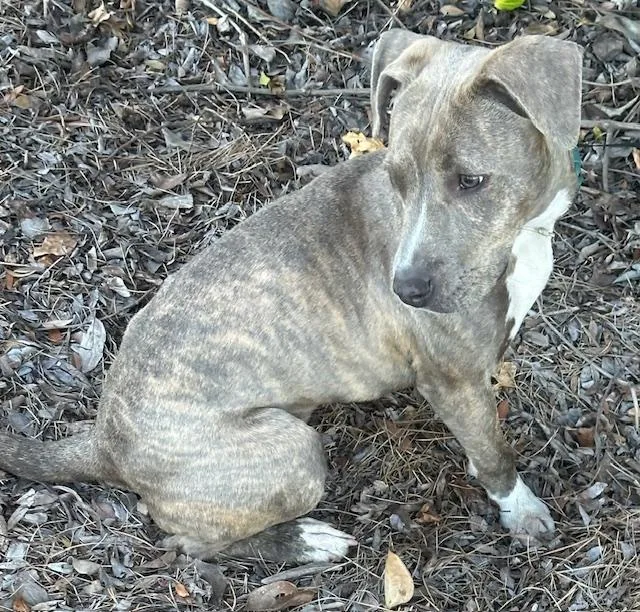 Happy Girl thumbnail 4