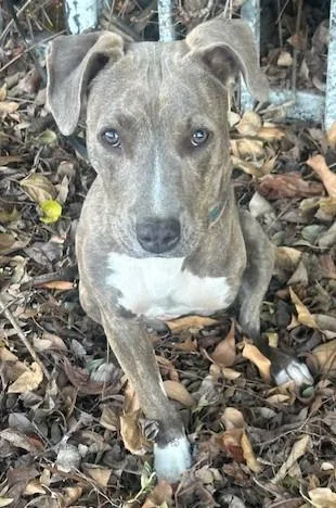 Happy Girl thumbnail 5