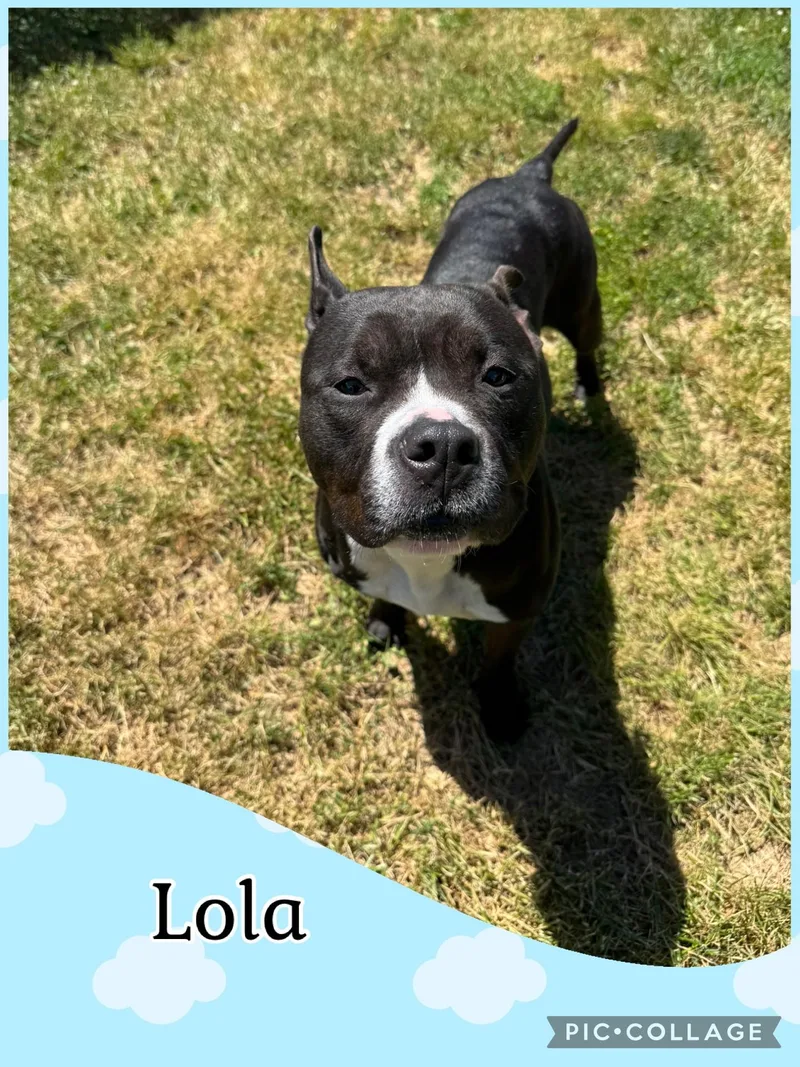 Lola