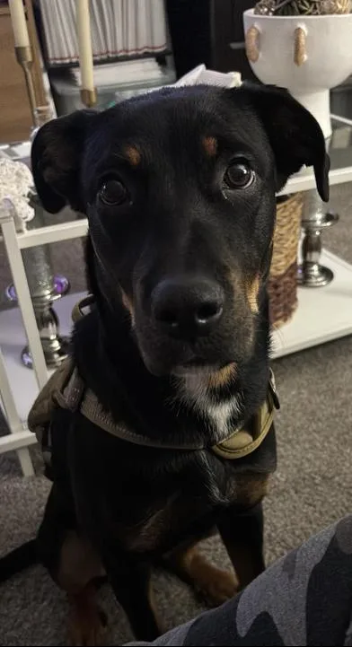 Chloe