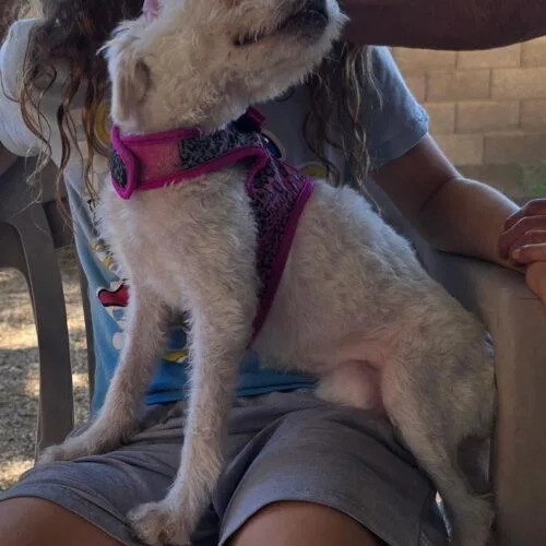Sarah aka: Quinta thumbnail 3