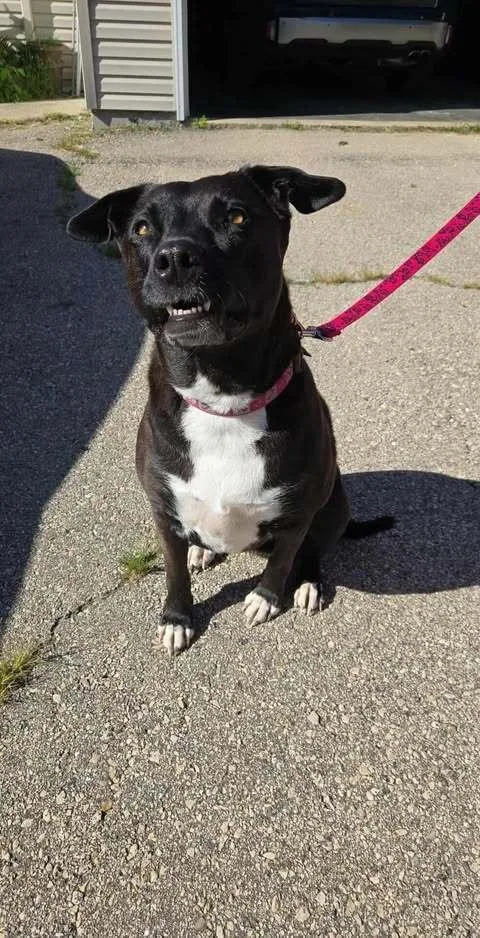 Minnie  Niobe thumbnail 3