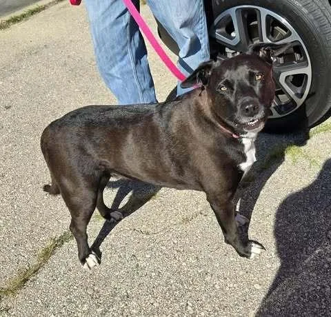 Minnie  Niobe thumbnail 4