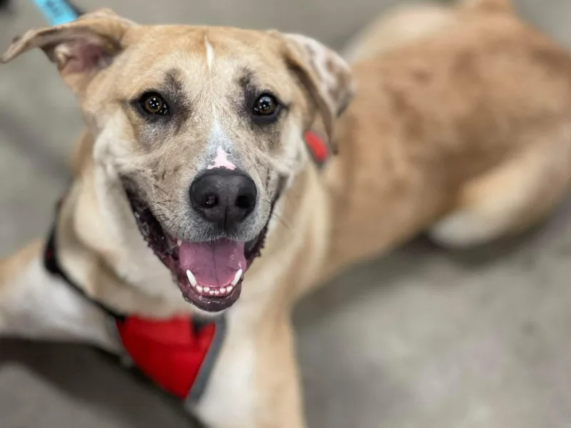 Crescent thumbnail 5