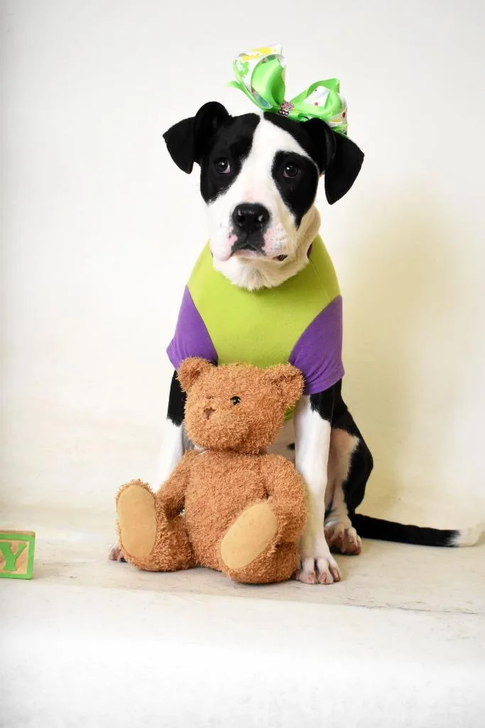 Laney Kila thumbnail 3