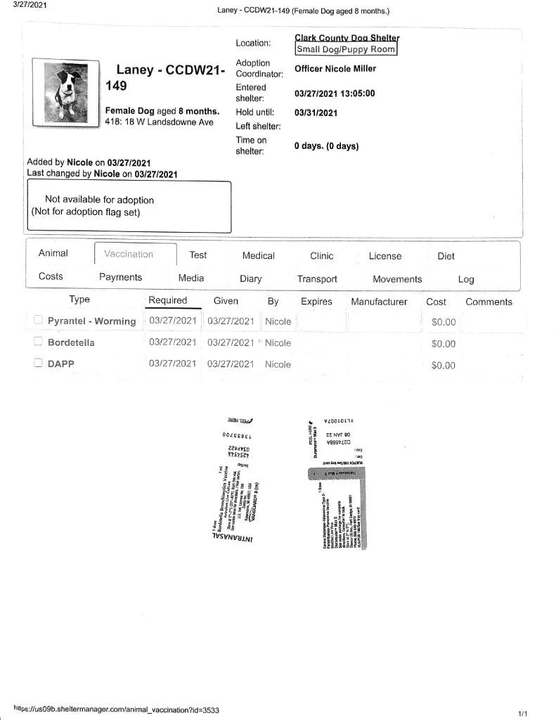 Laney Kila thumbnail 5