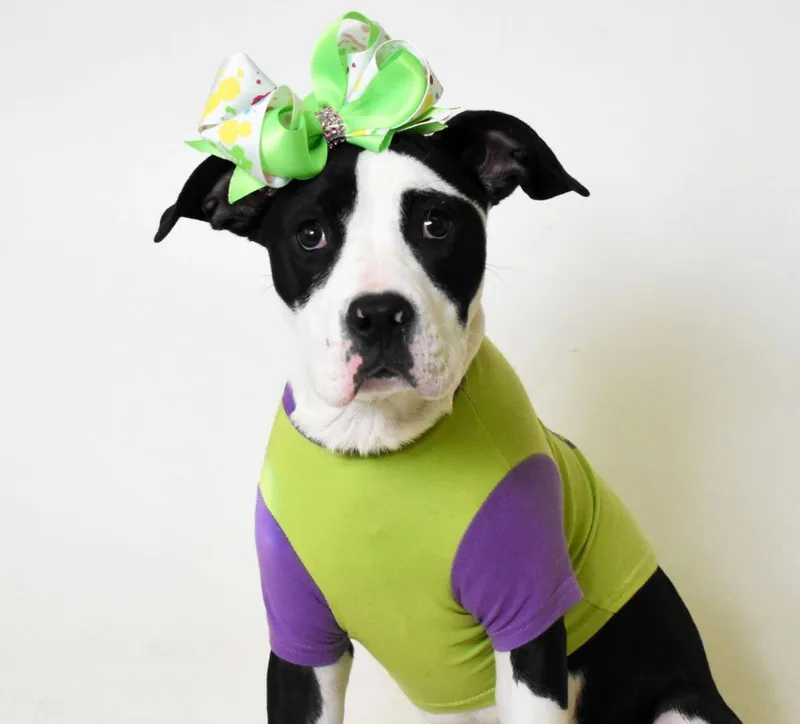 Laney Kila thumbnail 6