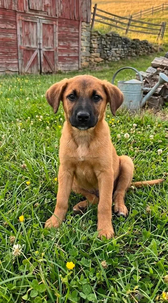 Parker