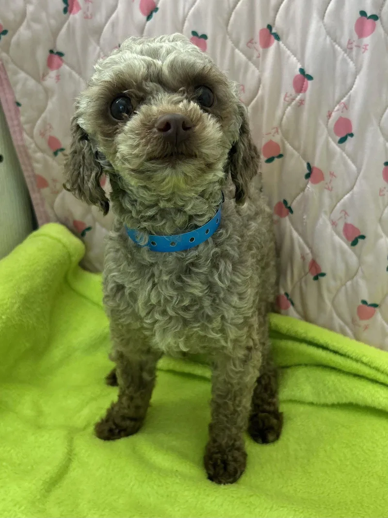 Chip Mar thumbnail 2