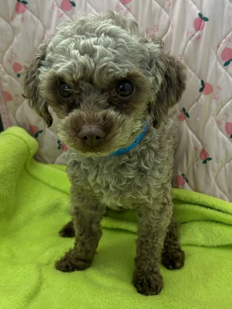 Chip Mar thumbnail 3