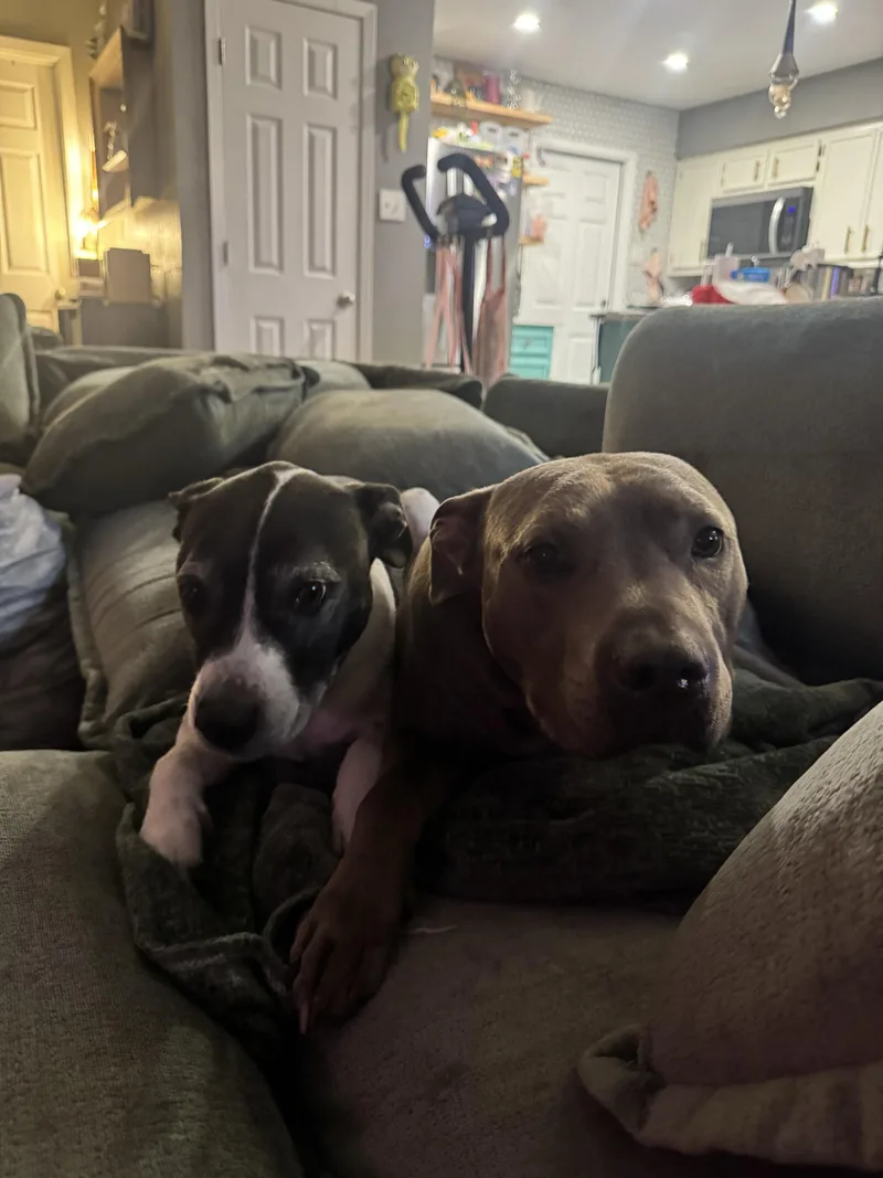 Hamilton thumbnail 2