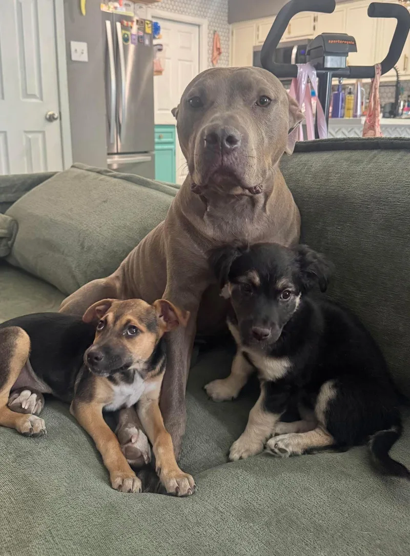 Hamilton thumbnail 3