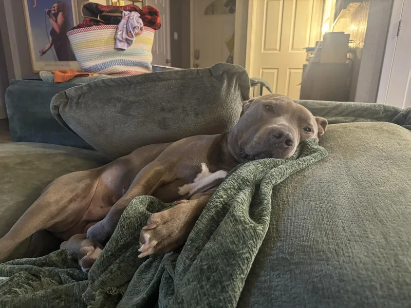 Hamilton thumbnail 4