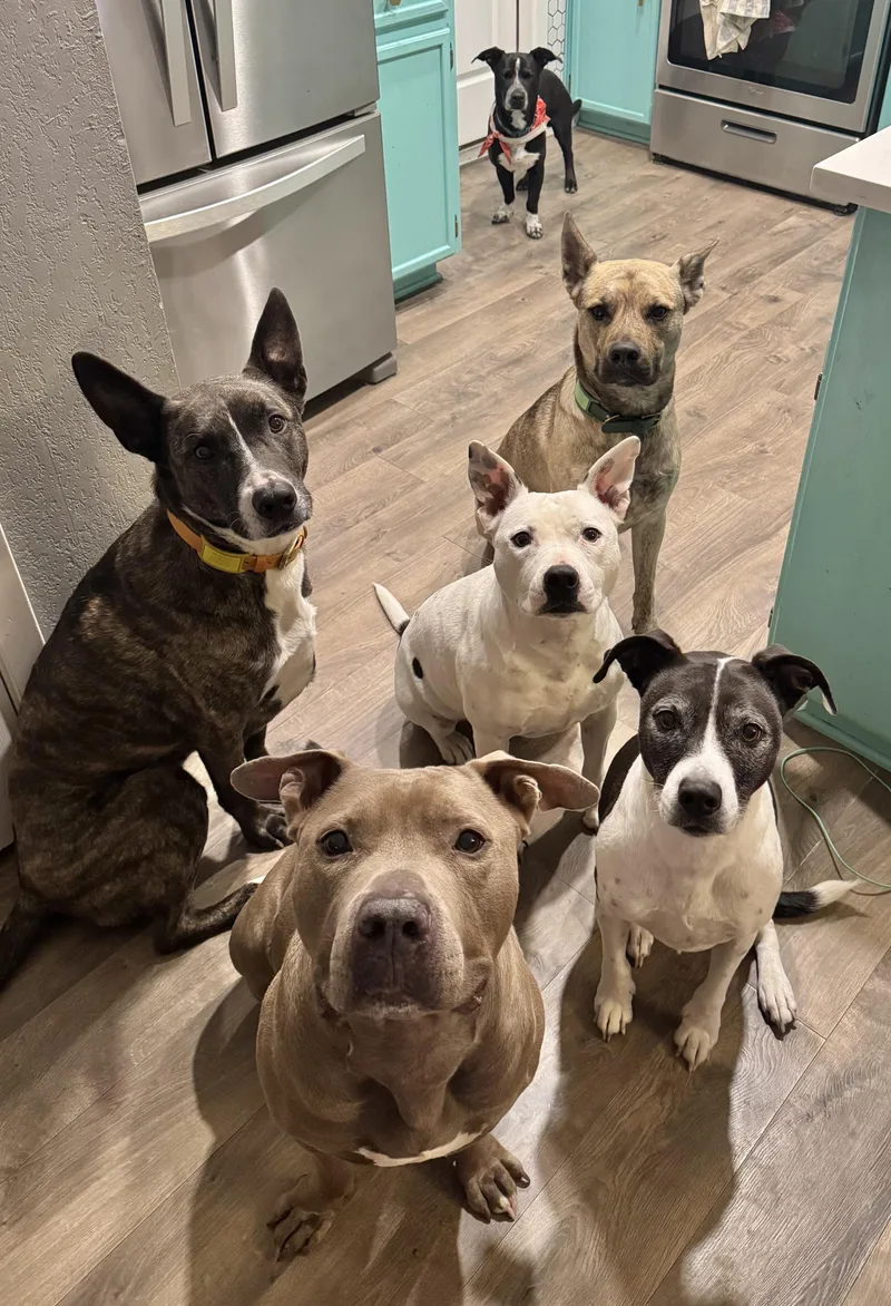 Hamilton thumbnail 6