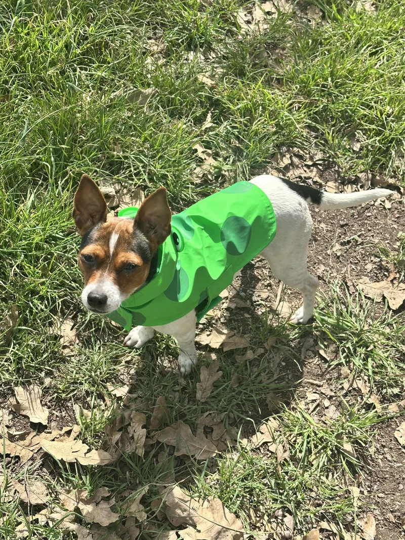 Penny Lane thumbnail 4