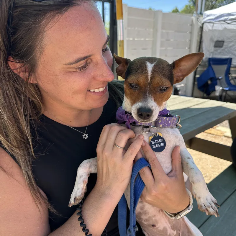 Penny Lane thumbnail 6