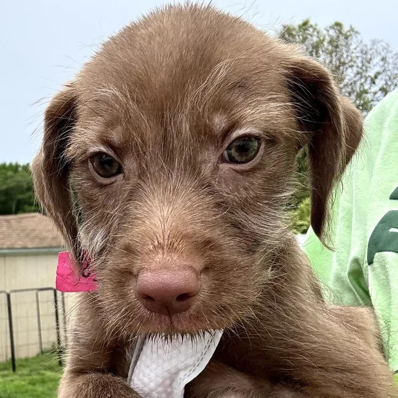 Ct Justice Avail May