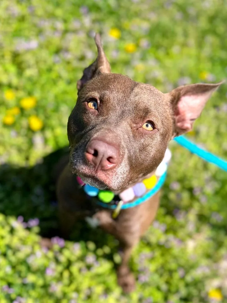 Drew Furrymore thumbnail 2