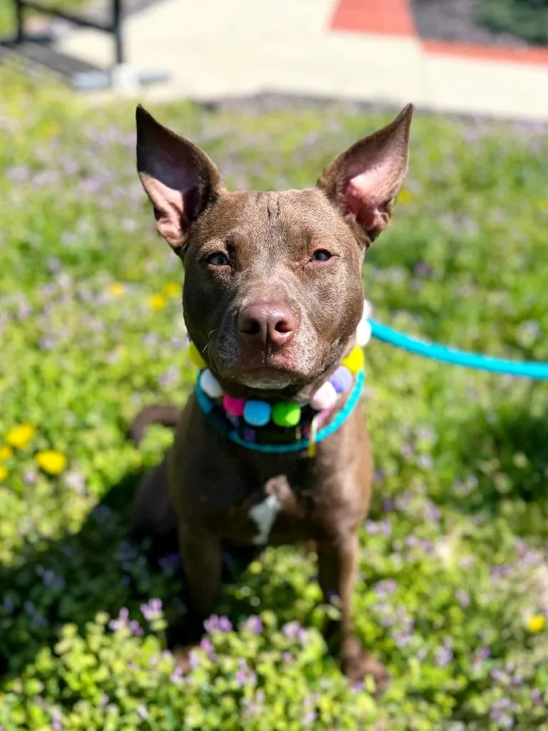 Drew Furrymore thumbnail 3