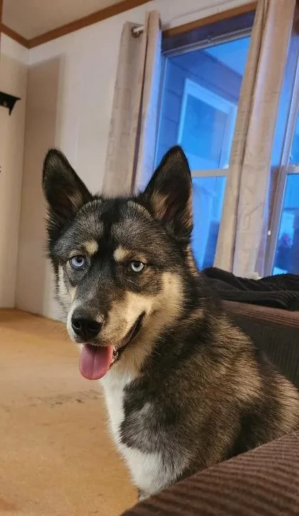 Freya