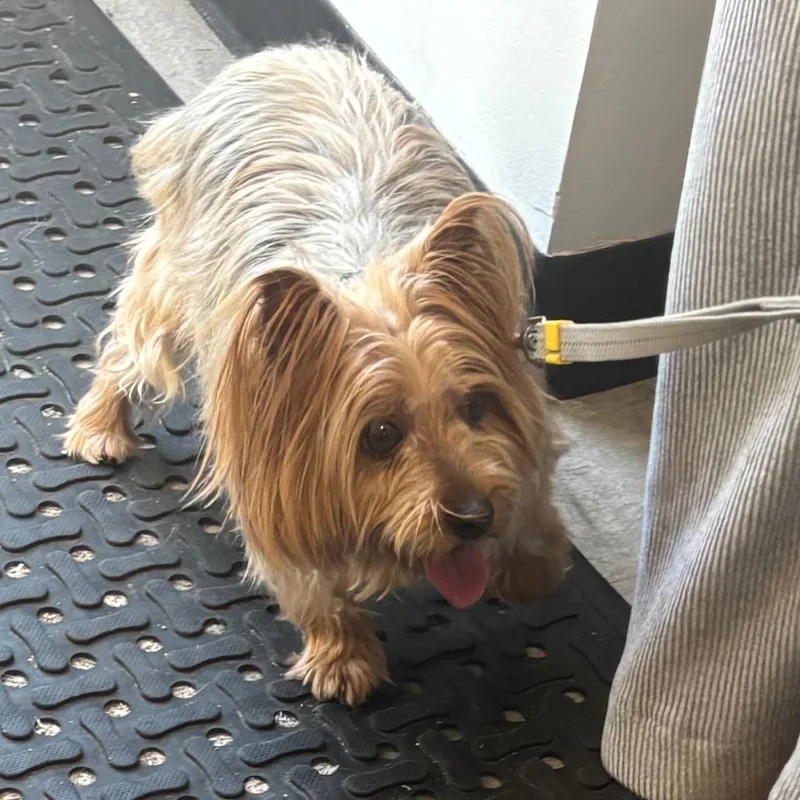 Zoey