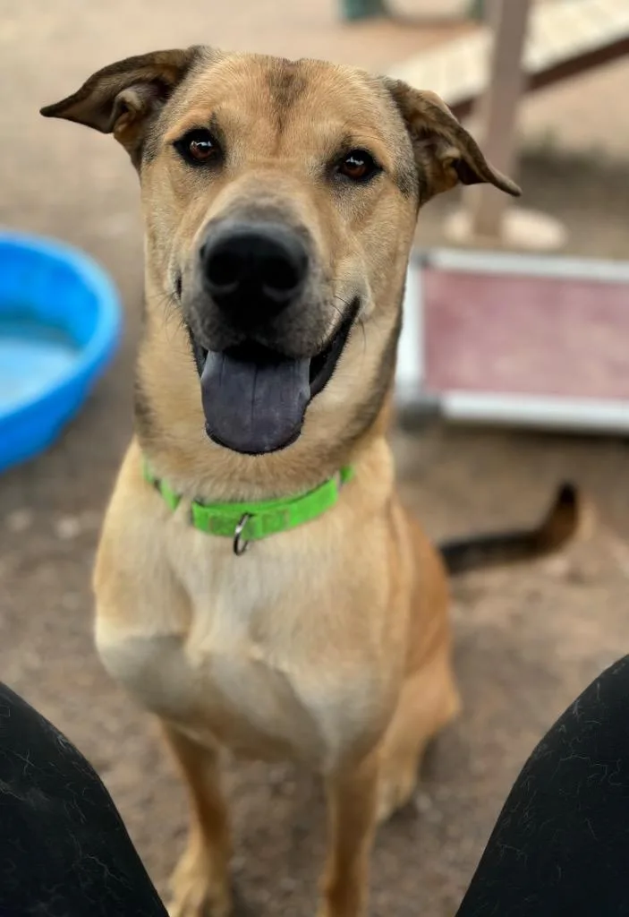 Scrunchie thumbnail 3