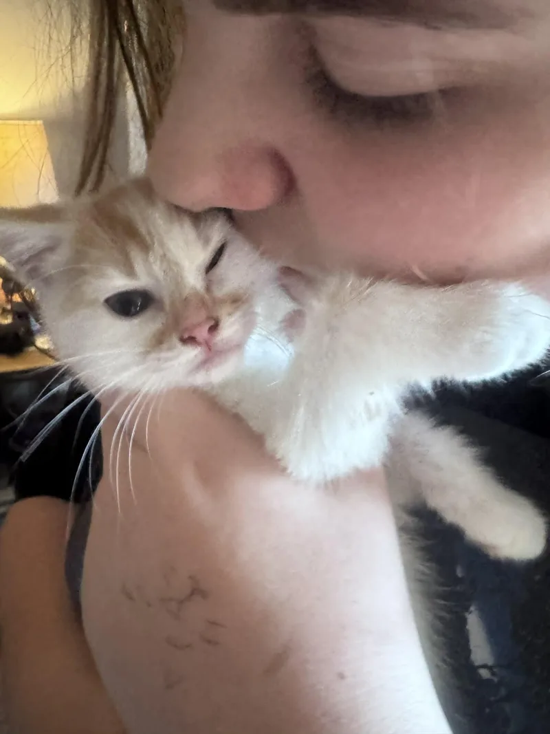 Mirabelle thumbnail 5