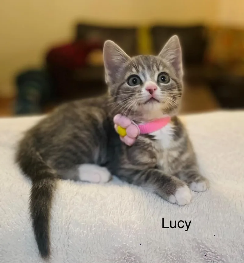 Lucy Ewing thumbnail 2