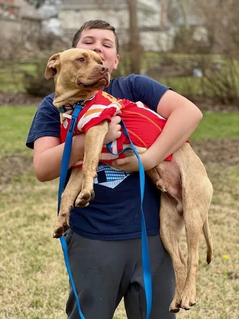 Cowboy Crosslisted thumbnail 2