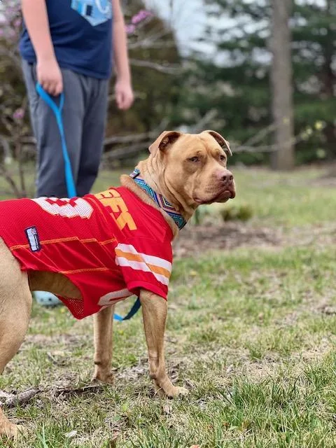 Cowboy Crosslisted thumbnail 3