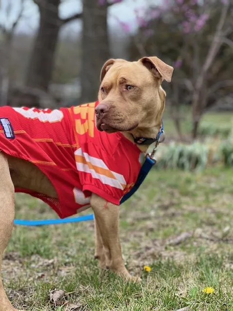 Cowboy Crosslisted thumbnail 4