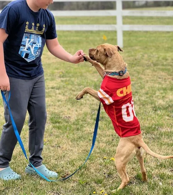 Cowboy Crosslisted thumbnail 5