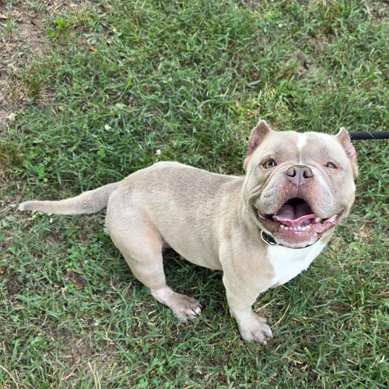 Coco