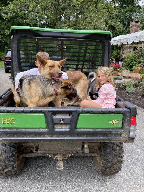 Joker And Harley thumbnail 2